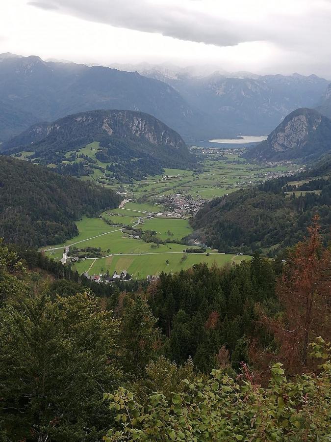 Appartement Soba Pri Bregarju à Bohinj Extérieur photo